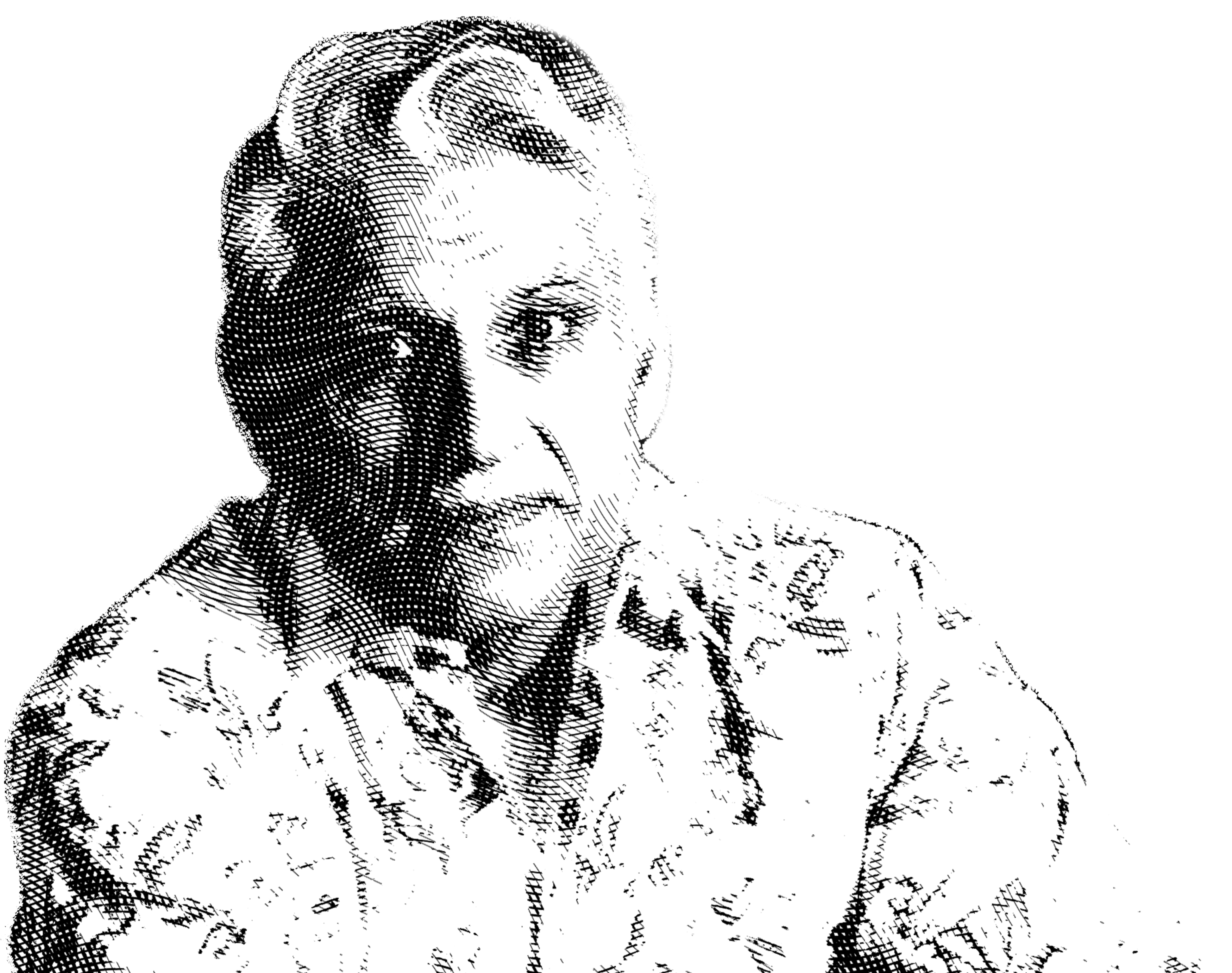 Navin Ansal
